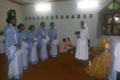 IndiaPostul2a