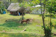 Mayan-village