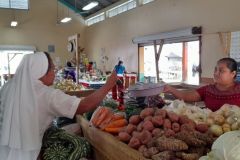 Punta-Gorda-market