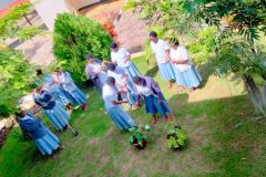 Novitiate_