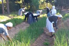 Postulants-Siuyu_2