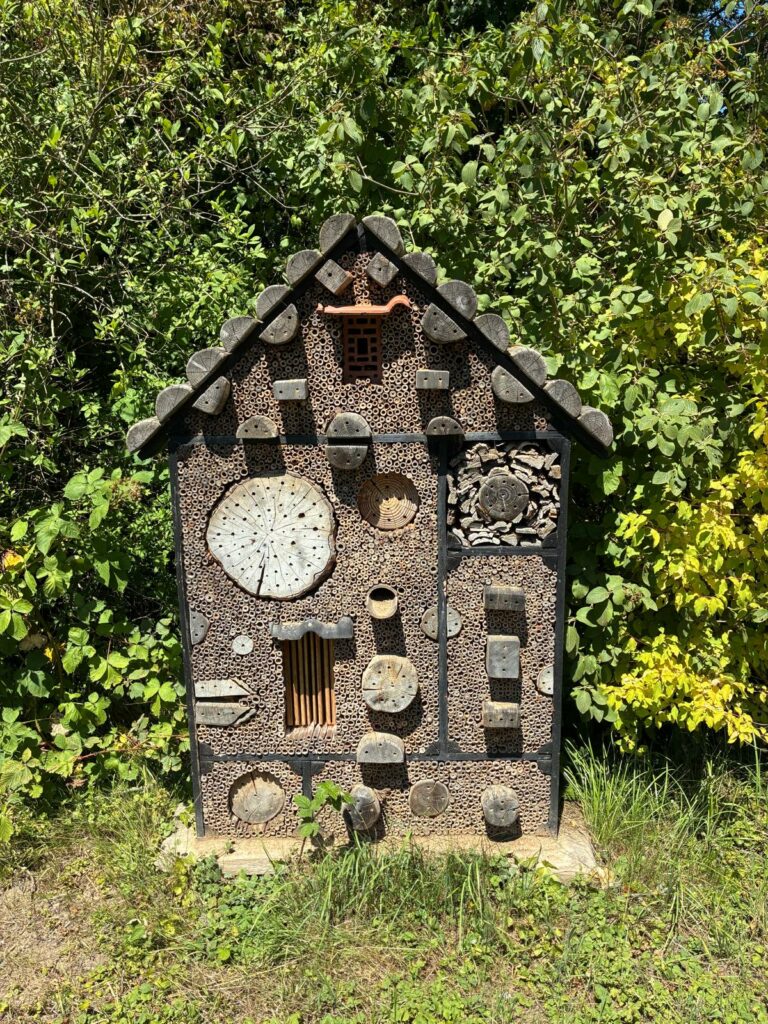 hotel for insects