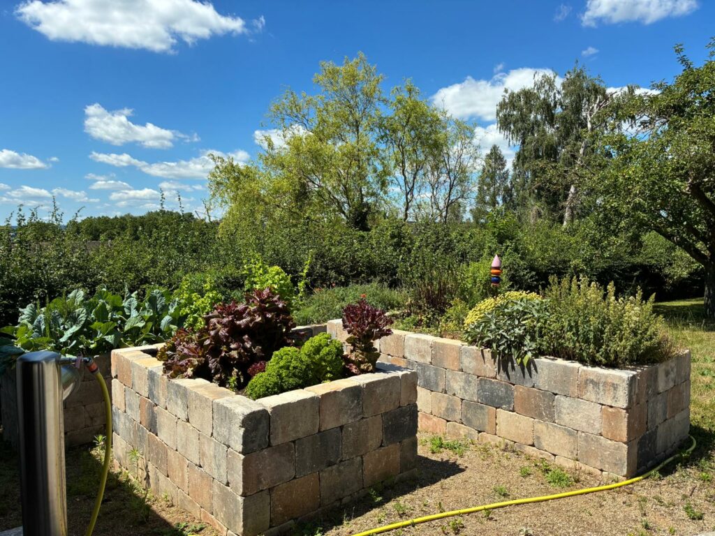 raised beds